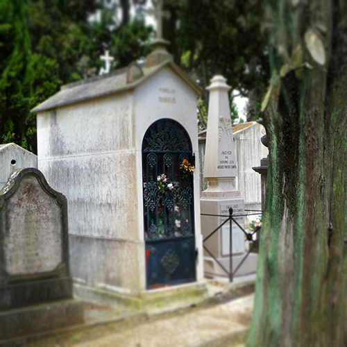 Found (Cemetery/Flowers/Table/Glasses)